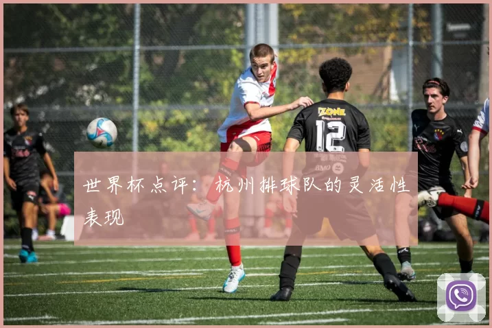 世界杯点评：杭州排球队的灵活性表现