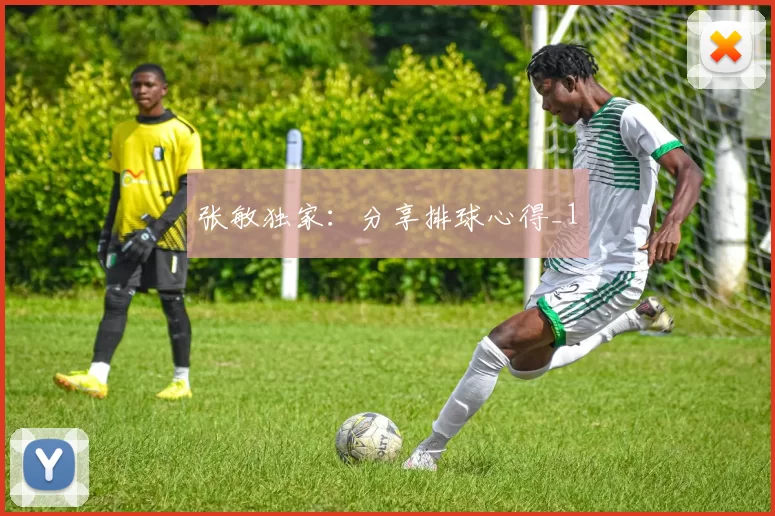 张敏独家：分享排球心得_1