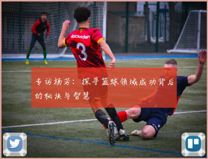 专访杨芳：探寻篮球领域成功背后的秘诀与智慧