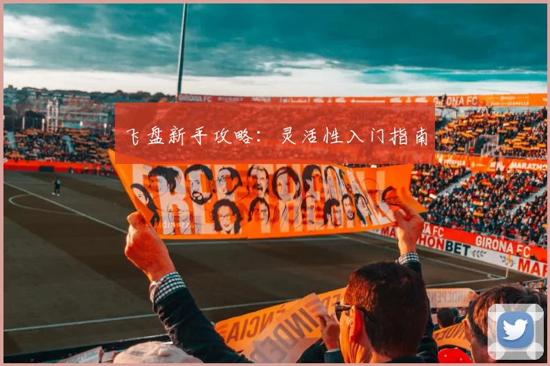 飞盘新手攻略：灵活性入门指南