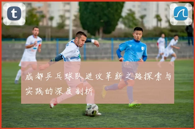 成都乒乓球队进攻革新之路探索与实践的深度剖析