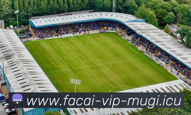 MK体育APP 高清赛事图